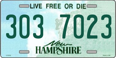 NH license plate 3037023
