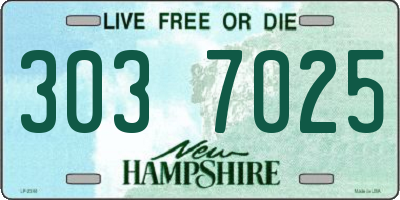 NH license plate 3037025