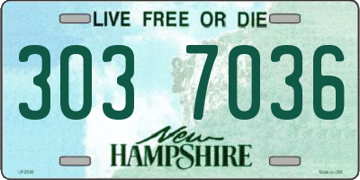 NH license plate 3037036