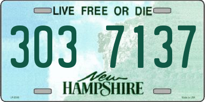 NH license plate 3037137