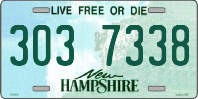 NH license plate 3037338