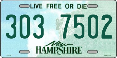 NH license plate 3037502