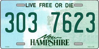 NH license plate 3037623