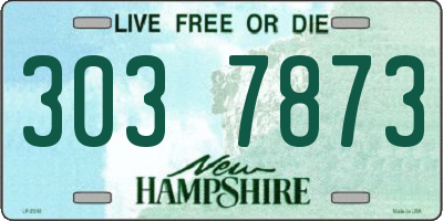 NH license plate 3037873