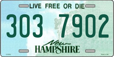 NH license plate 3037902