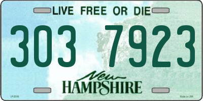 NH license plate 3037923