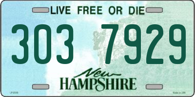 NH license plate 3037929
