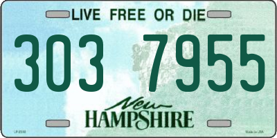 NH license plate 3037955