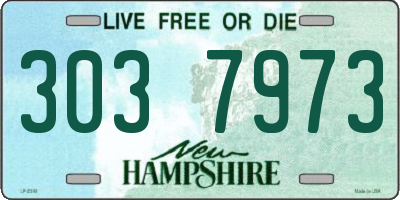 NH license plate 3037973