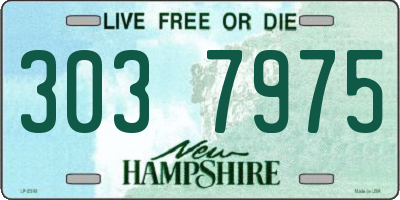 NH license plate 3037975