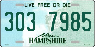 NH license plate 3037985