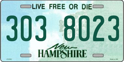 NH license plate 3038023