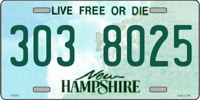 NH license plate 3038025