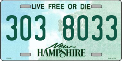 NH license plate 3038033