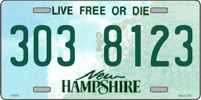 NH license plate 3038123