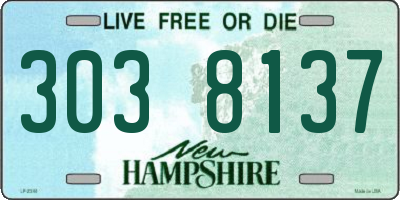 NH license plate 3038137