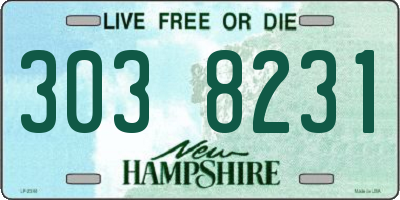 NH license plate 3038231