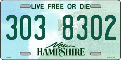 NH license plate 3038302