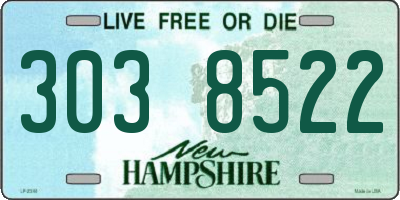 NH license plate 3038522