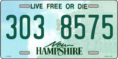 NH license plate 3038575