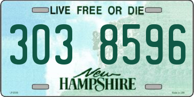 NH license plate 3038596