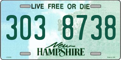 NH license plate 3038738