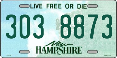 NH license plate 3038873