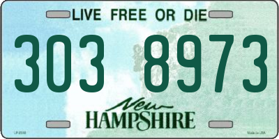NH license plate 3038973
