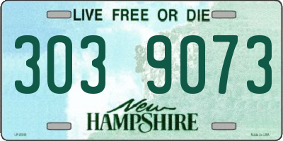 NH license plate 3039073