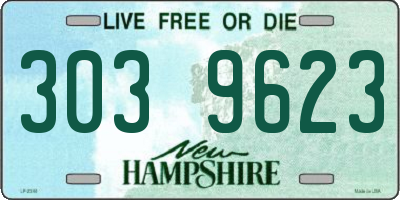 NH license plate 3039623