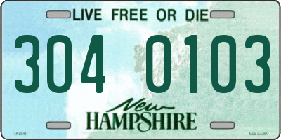 NH license plate 3040103