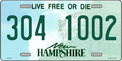 NH license plate 3041002