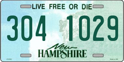 NH license plate 3041029