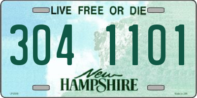 NH license plate 3041101