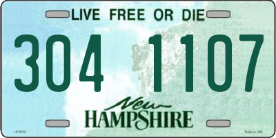 NH license plate 3041107