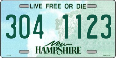 NH license plate 3041123