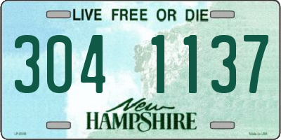 NH license plate 3041137