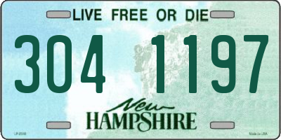 NH license plate 3041197