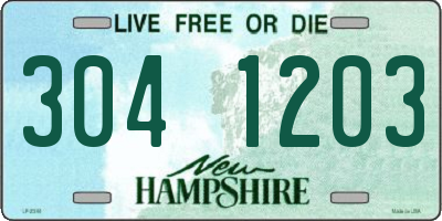 NH license plate 3041203