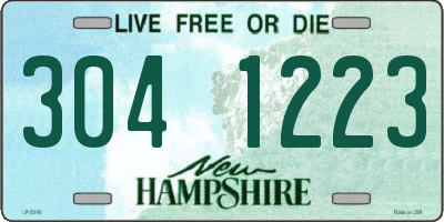 NH license plate 3041223