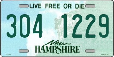 NH license plate 3041229