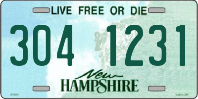 NH license plate 3041231