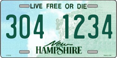 NH license plate 3041234