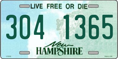 NH license plate 3041365