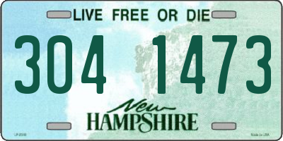NH license plate 3041473