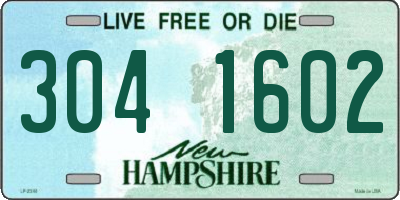 NH license plate 3041602