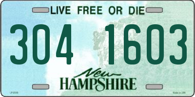 NH license plate 3041603