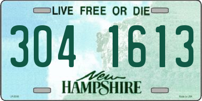NH license plate 3041613