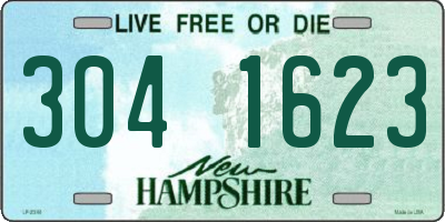 NH license plate 3041623