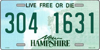 NH license plate 3041631